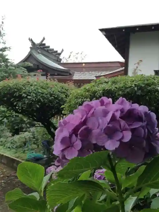 武蔵第六天神社の自然
