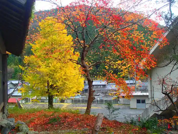 春日神社の自然