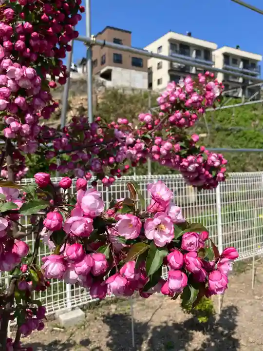 龍宮神社(北海道)