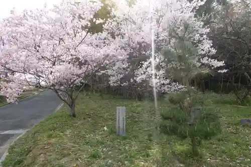 斑鳩神社の自然