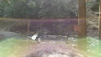 白鹿権現の自然