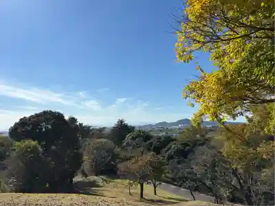 八雲神社(緑町)(栃木県)