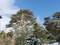 金澤神社の自然
