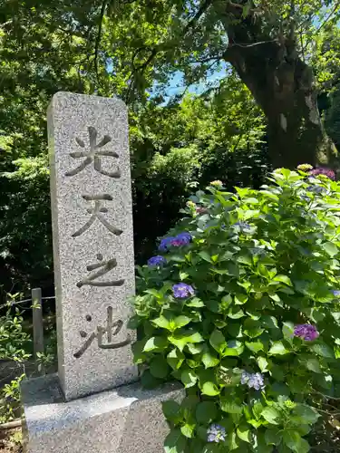 鷲宮神社(埼玉県)