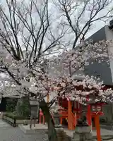 安井金比羅宮の自然