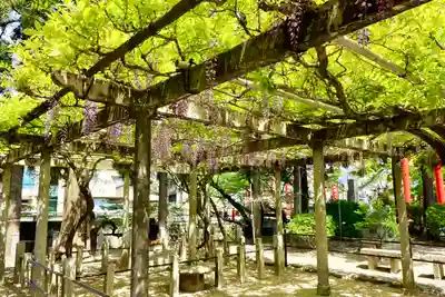 立木神社(滋賀県)