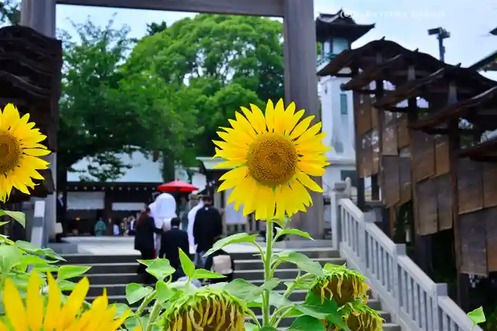 伊勢山皇大神宮(神奈川県)