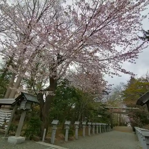 信濃神社のその他建物