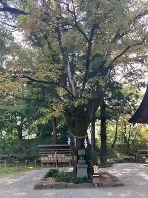 武田神社(山梨県)