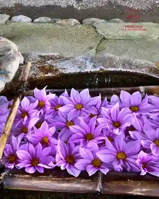 立志神社(滋賀県)