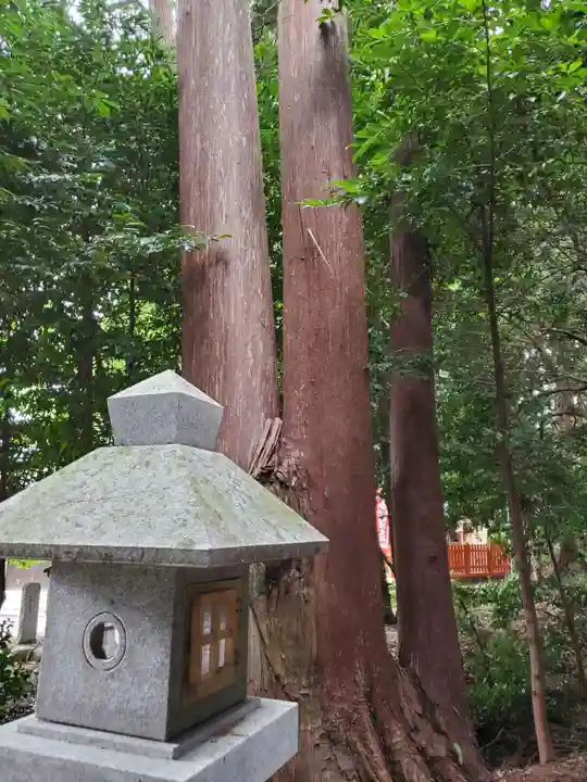 立志神社の自然