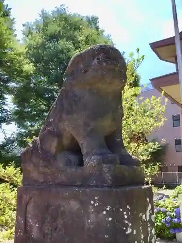 日野八坂神社の狛犬