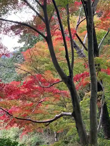 十輪寺(京都府)