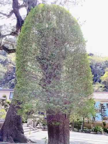 實相山　正法院(静岡県)