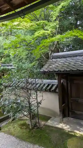 真珠庵(真珠菴)(京都府)