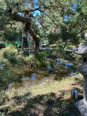 鶴嶺八幡宮(神奈川県)