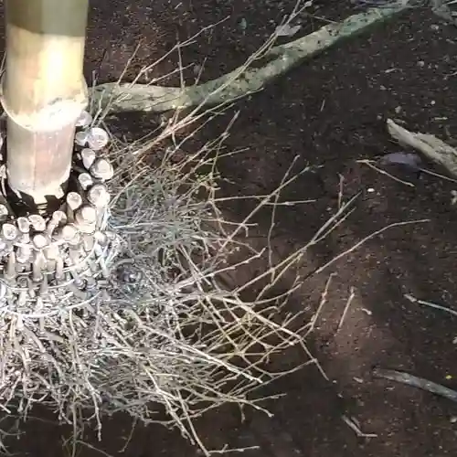 沼尾神社(茨城県)