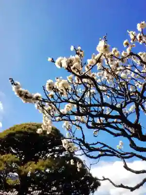 長善寺(東京都)