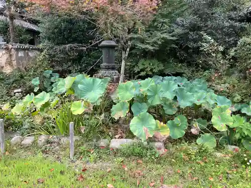 十禅律院(和歌山県)