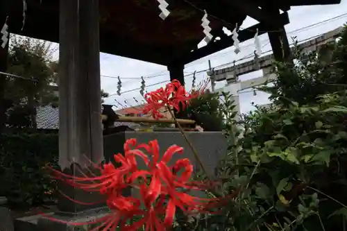 豊景神社の庭園