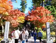 円覚寺の建物その他