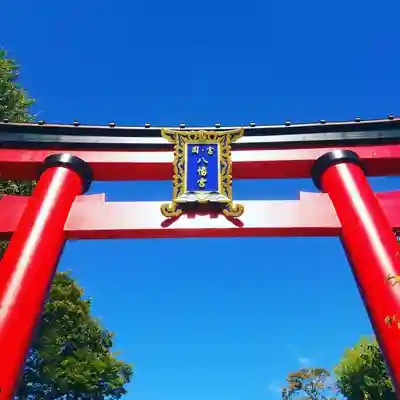 富岡八幡宮の鳥居