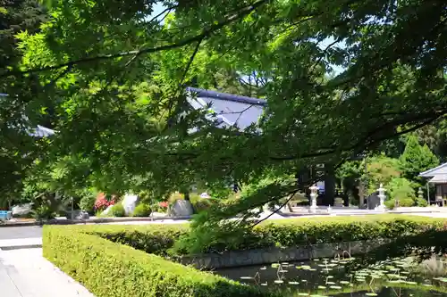 東泉寺の庭園