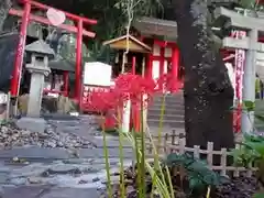 徳島眉山天神社の自然