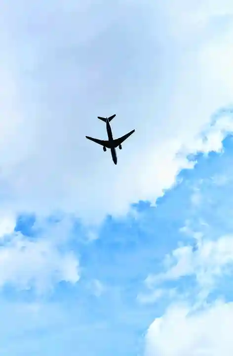 白金氷川神社の景色