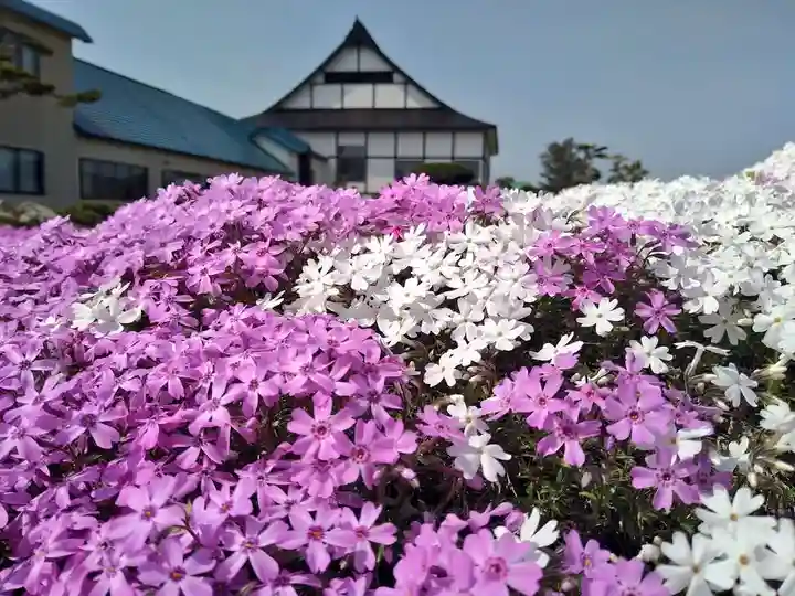 雨竜 専福寺(北海道)