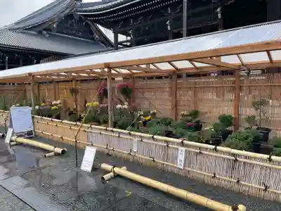 本願寺（西本願寺）(京都府)