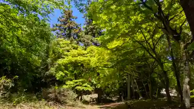 成相寺(京都府)