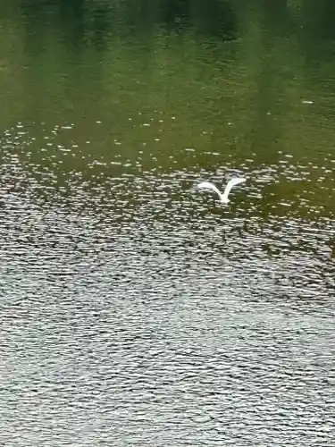 伊勢神宮内宮（皇大神宮）(三重県)