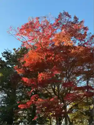 天神社(静岡県)
