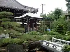 興徳寺の建物その他