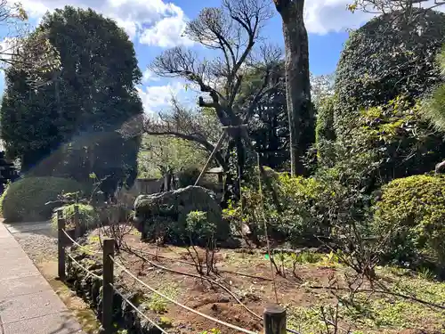 東長谷寺　薬王院(東京都)
