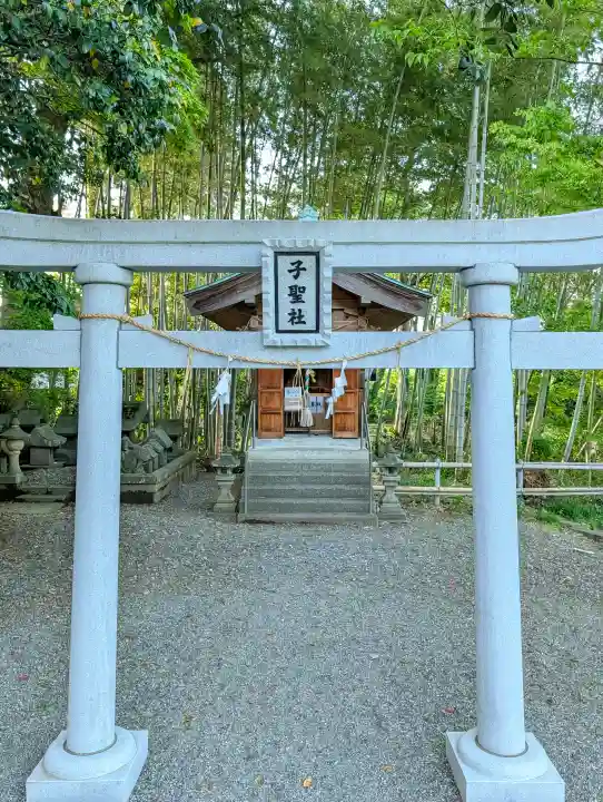 天津神社の{uncategorized: "未分類", other: "その他", undefined: "問題あり", building: "その他建物", grave: "お墓", sacred_gate: "鳥居", guardian: "狛犬", statue: "像", buddha: "仏像", history: "歴史", nature: "自然", garden: "庭園", animal: "動物", pagoda: "塔", temizu: "手水舎", mountain_gate: "山門・神門", sanctuary: "本殿・本堂", subordinate: "末社・摂社", art: "芸術", scenery: "景色", jizo: "地蔵", ema: "絵馬", goshuin: "御朱印", omikuji: "おみくじ", items: "授与品その他", amulet: "お守り", goshuincho: "御朱印帳", eats: "食事", festival: "お祭り", votive_dance: "神楽", shichigosan: "七五三参", wedding: "結婚式", experience: "体験その他", initially: "初詣", around: "周辺", anti_infection: "感染症対策"}