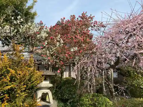 石光寺(奈良県)