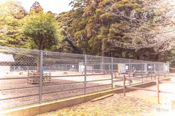 鹿島神宮(茨城県)