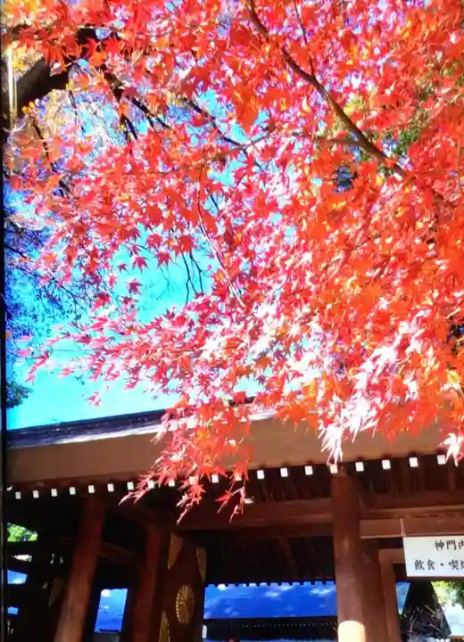 阿佐ヶ谷神明宮(東京都)