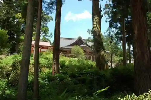 成相寺の本殿