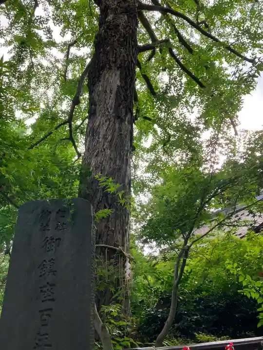 七社神社(東京都)