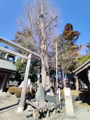 深見神社(神奈川県)