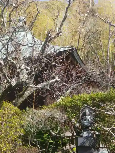 浄光明寺の自然