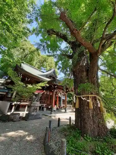 白山神社(大阪府)