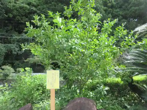 浄発願寺(神奈川県)