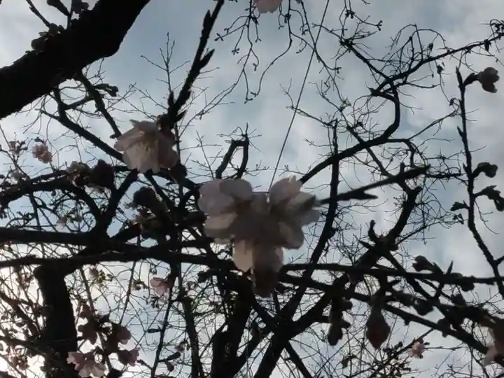 靖國神社(東京都)