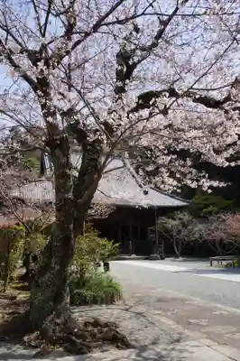 妙本寺(神奈川県)