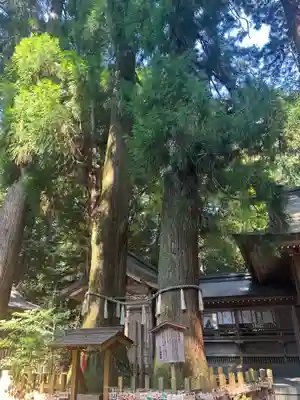 高千穂神社(宮崎県)