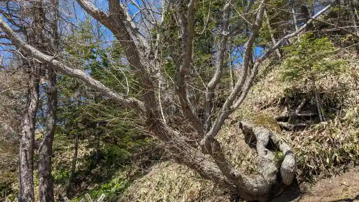白糠厳島神社(北海道)